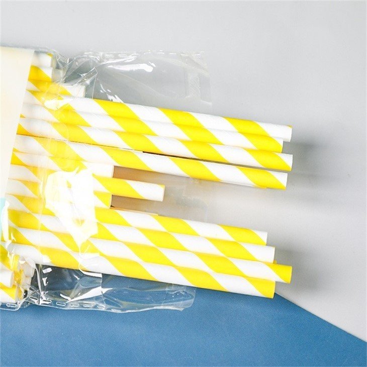 variety store franchise